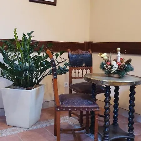 Apartment Zakonosal