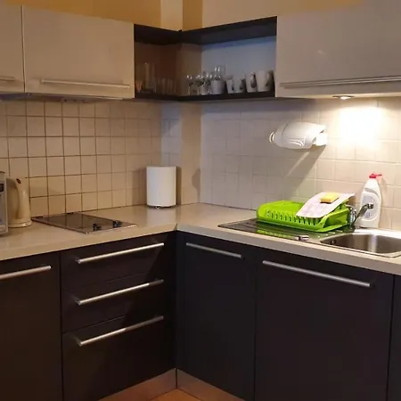 Apartment Zakonosal