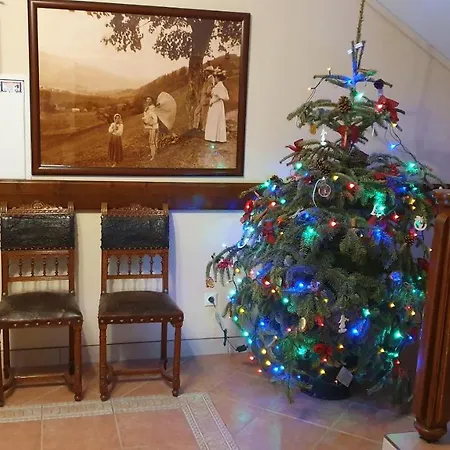 Apartment Zakonosal